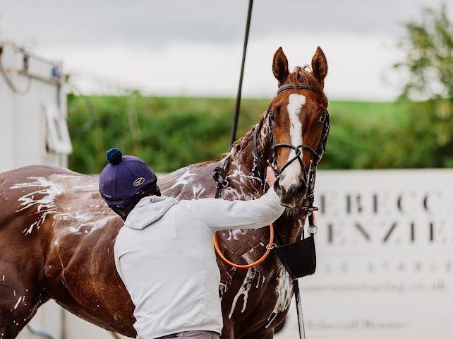 Adonius being washed down at the yard