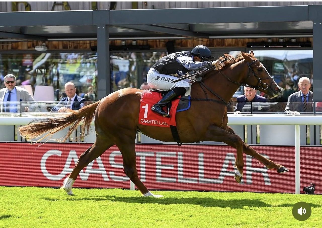 Adonius on the racecourse