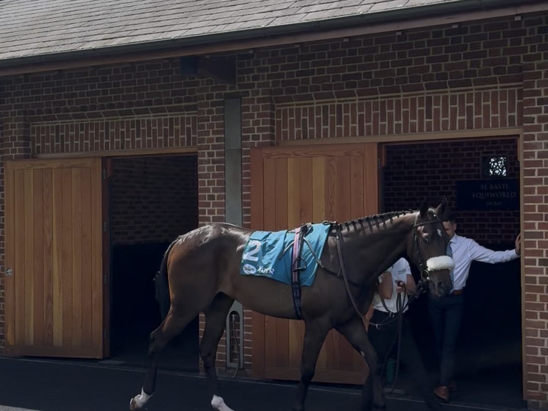 Aodhan walking round the paddock