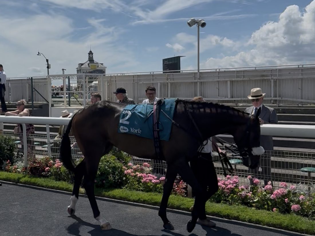 Aodhan before his race