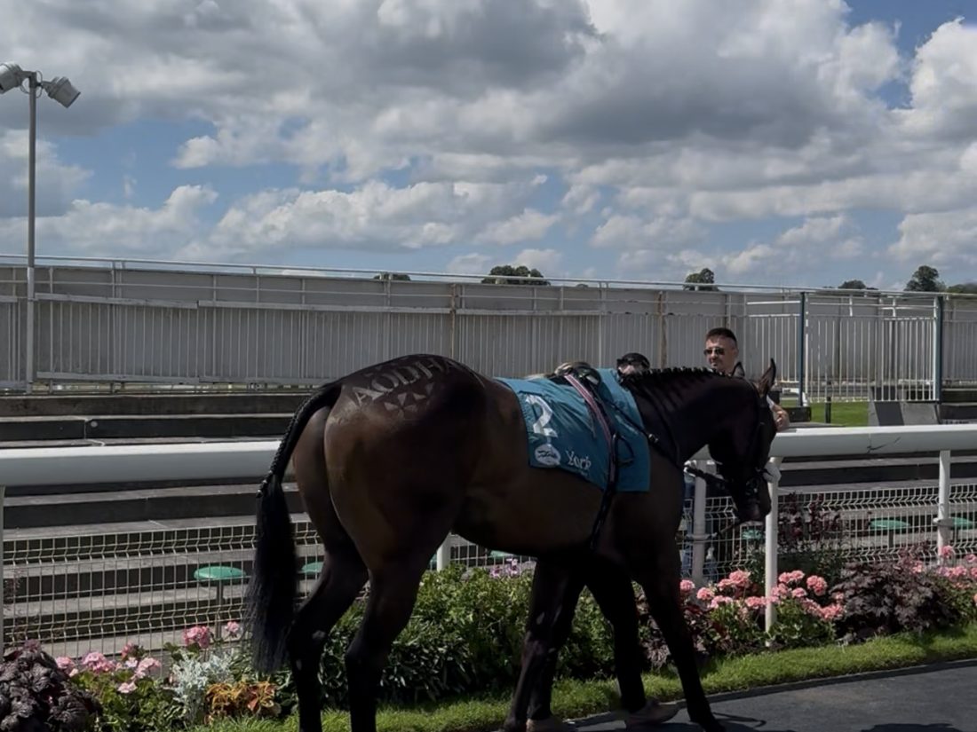 Aodhan led round at the races
